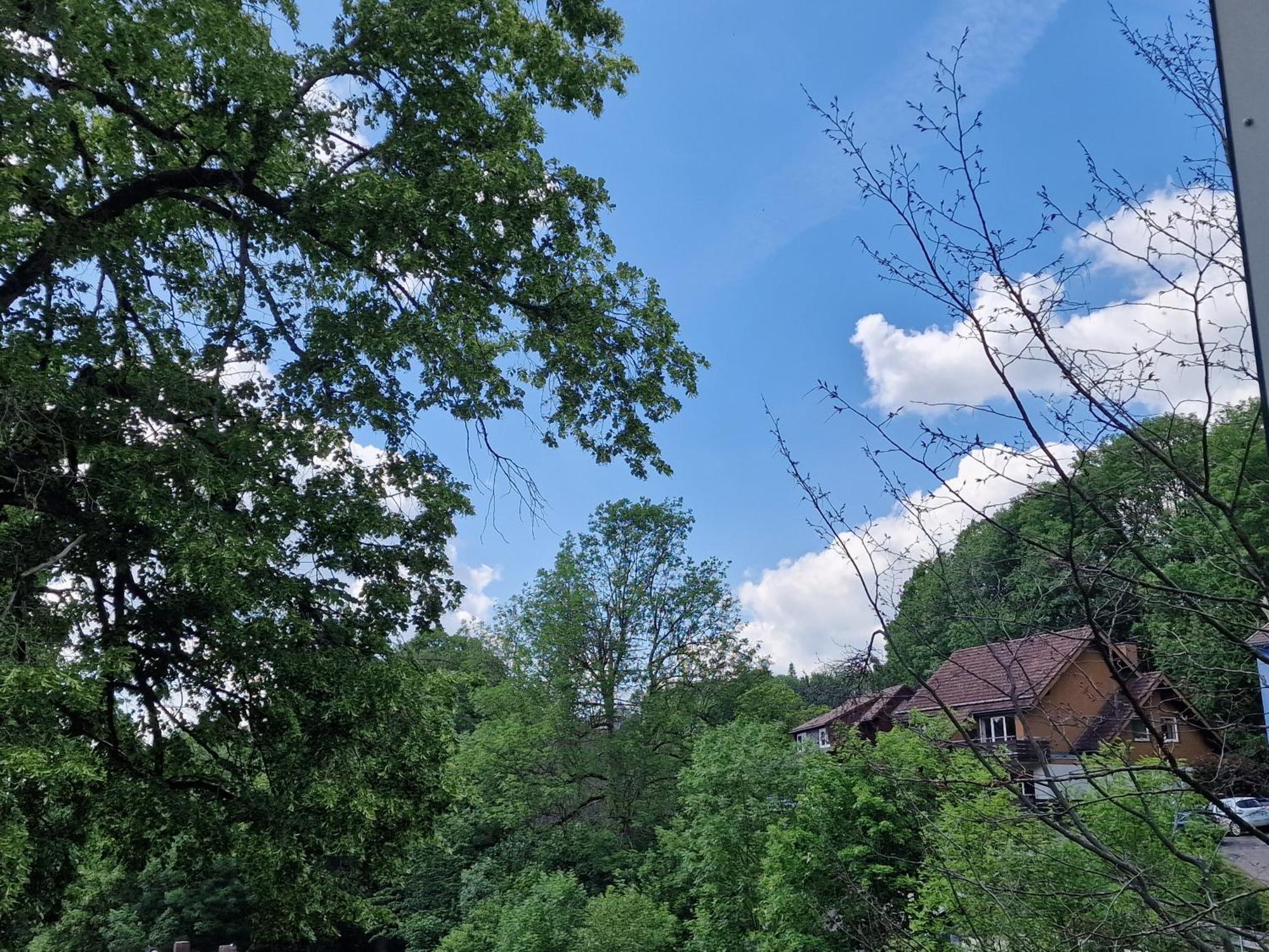Gemuetliche Moderne Ferienwohnung Inkl. Wlan In St Andreasberg/Braunlange Санкт-Андреасберг Экстерьер фото